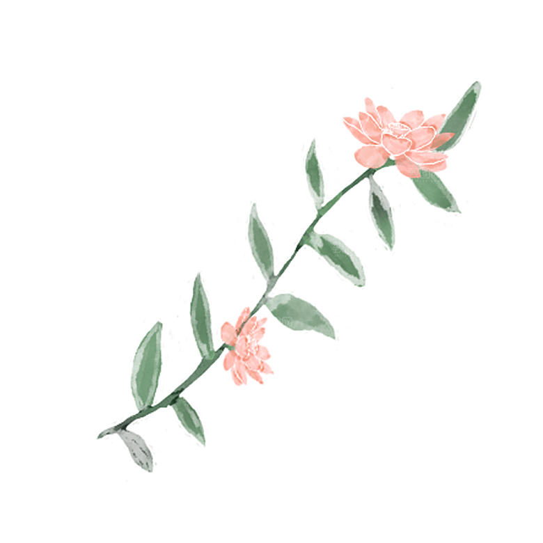 手绘水彩花朵花卉叶子