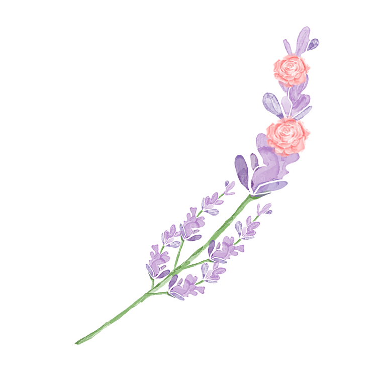 手绘水彩花朵花卉叶子素材