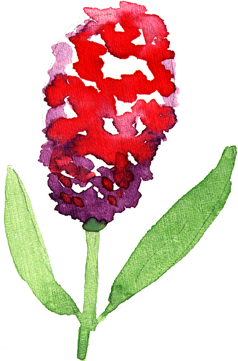 手绘水彩花朵花卉叶子素材