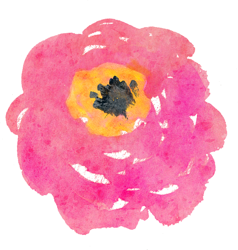 手绘水彩花朵花卉叶子素材