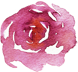 手绘水彩花朵花卉叶子素材