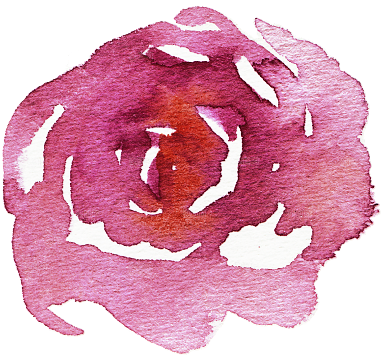 手绘水彩花朵花卉叶子素材