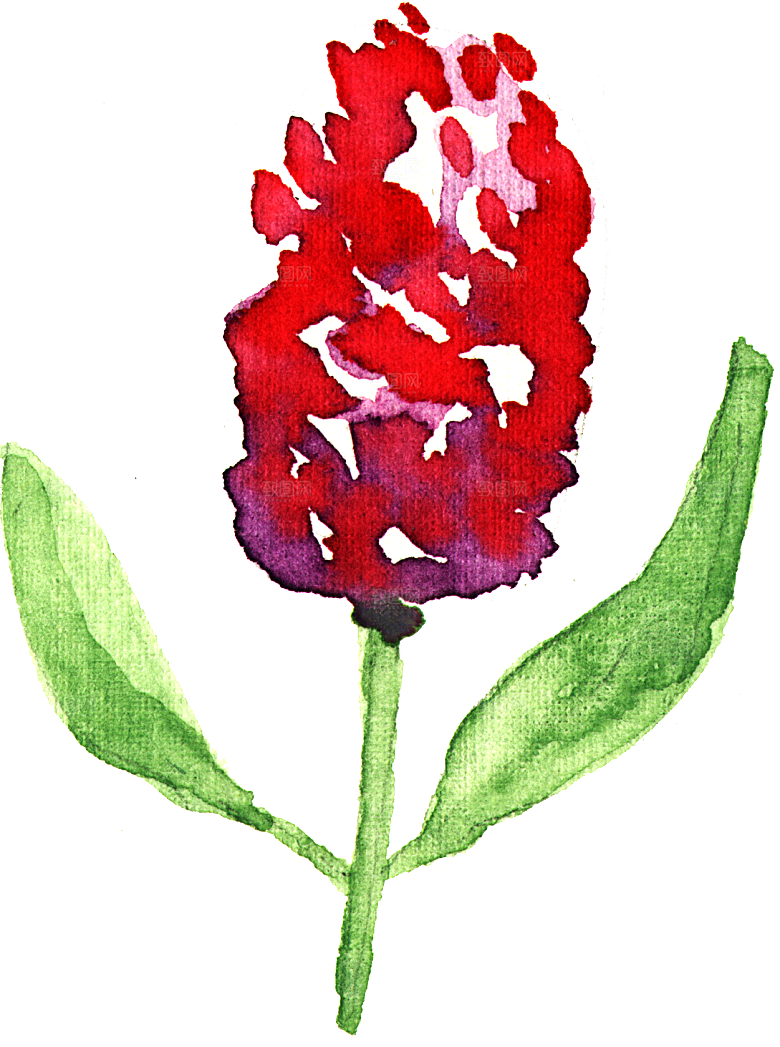 手绘水彩花朵花卉叶子素材