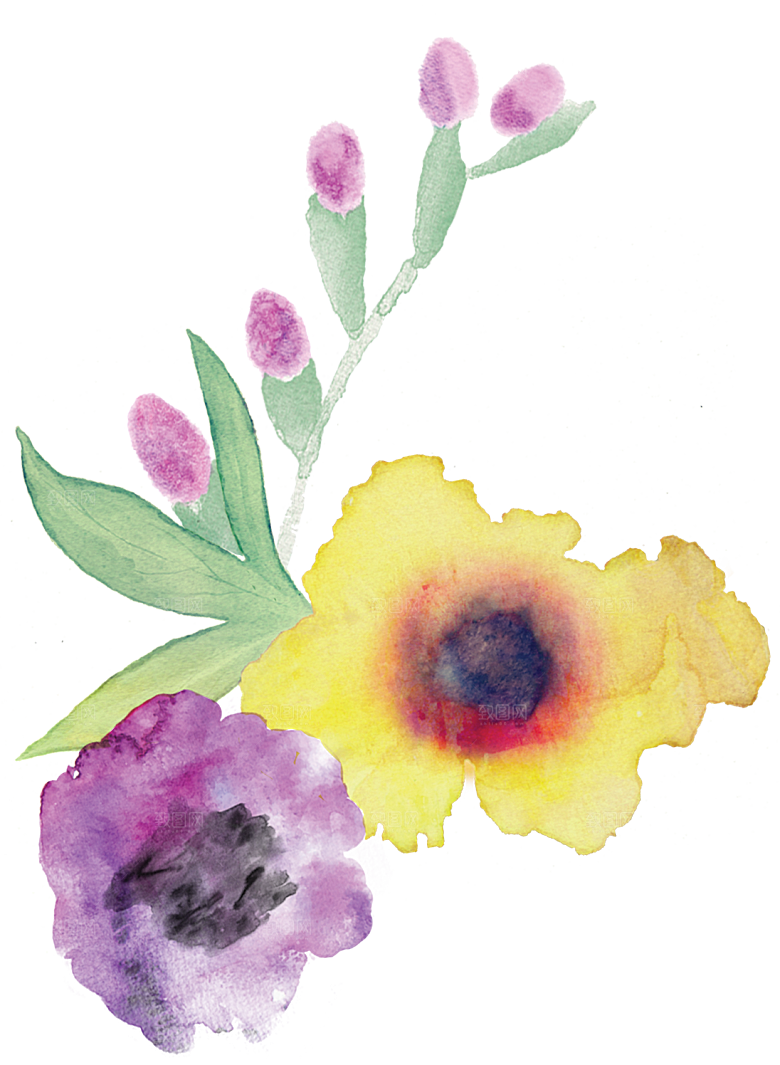 手绘水彩花朵花卉叶子素材