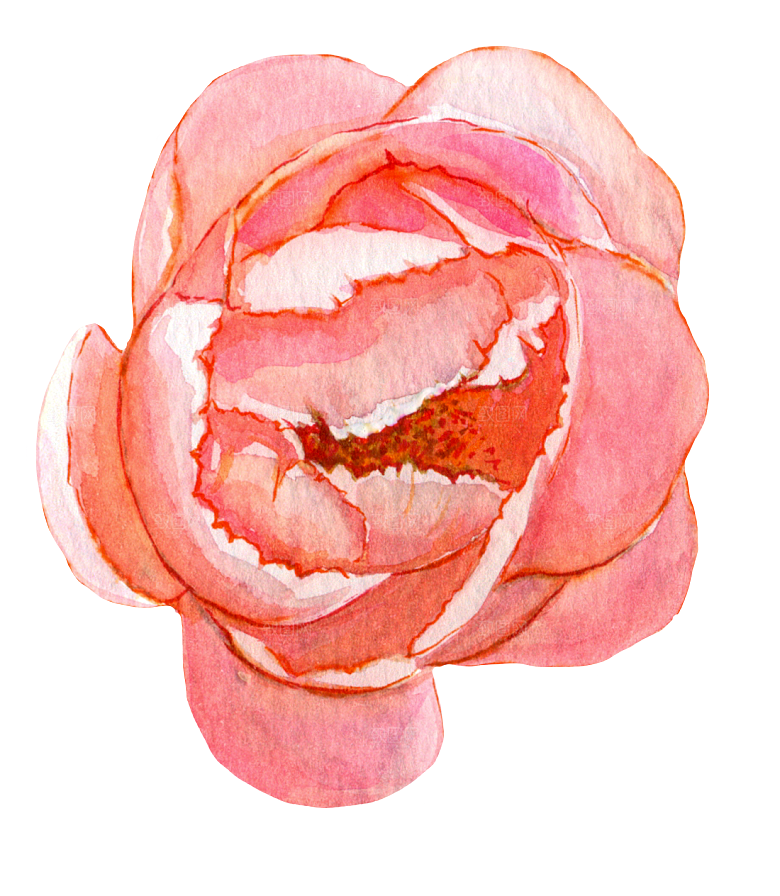 手绘水彩花朵花卉叶子素材