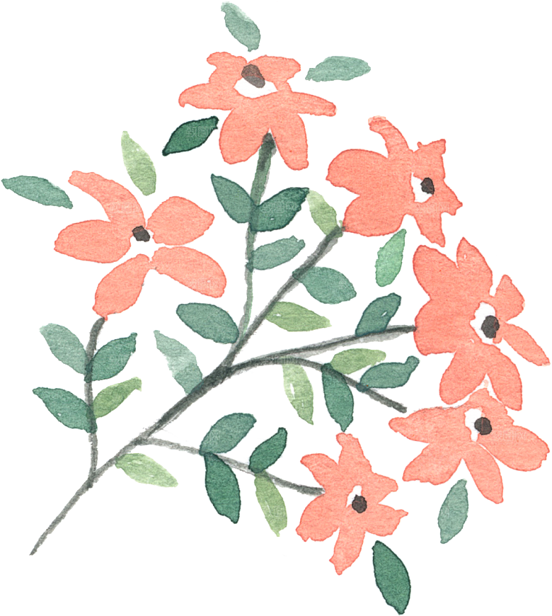 手绘水彩花朵花卉叶子