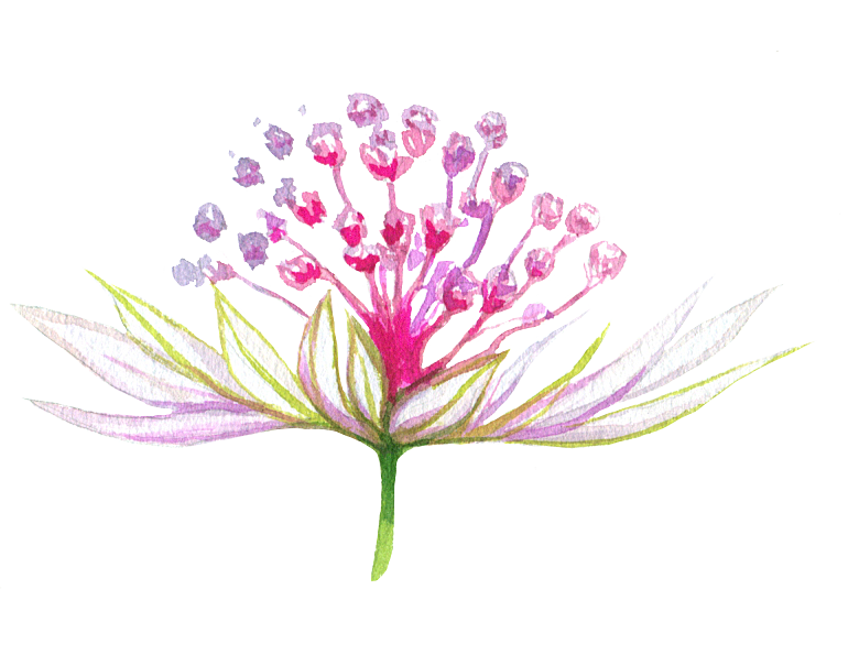 手绘水彩花朵花卉叶子
