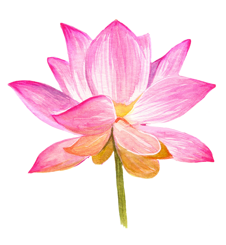 手绘水彩花朵花卉叶子