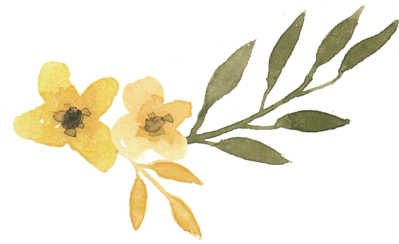 手绘水彩花朵花卉叶子
