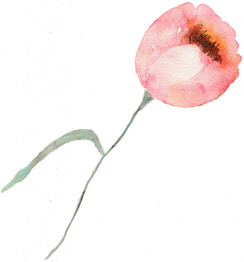 手绘水彩花朵叶子素材