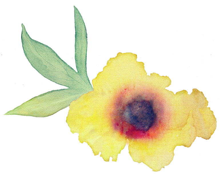 手绘水彩花朵叶子素材