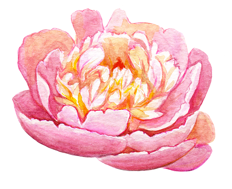 手绘水彩花朵叶子素材