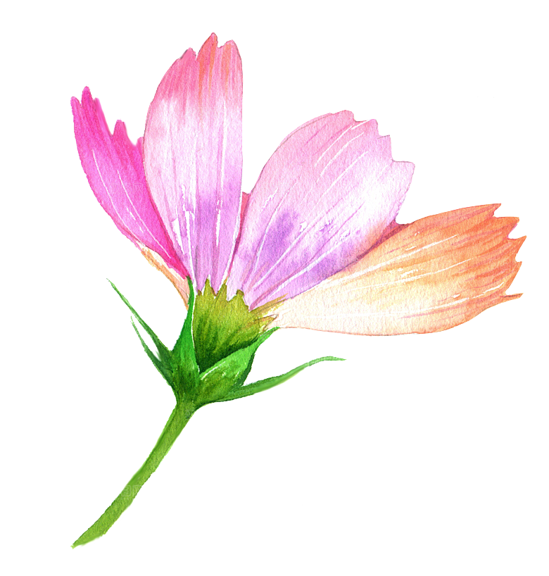 手绘水彩花朵叶子素材