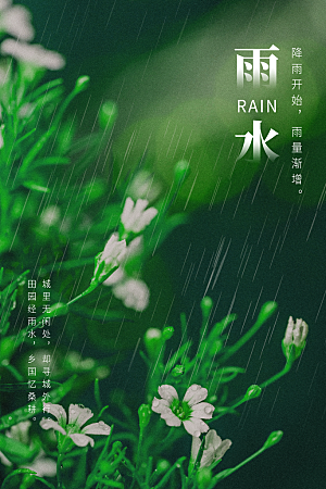 二十四节气中国风春天雨水节气海报