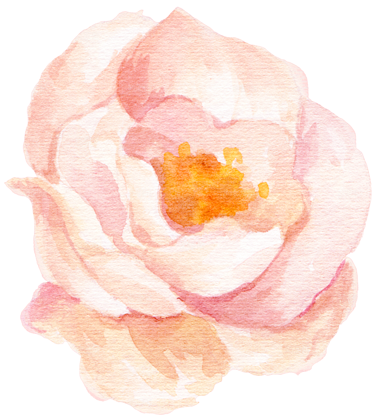 水彩手绘花朵花卉素材