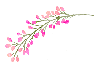 水彩手绘花朵花卉素材