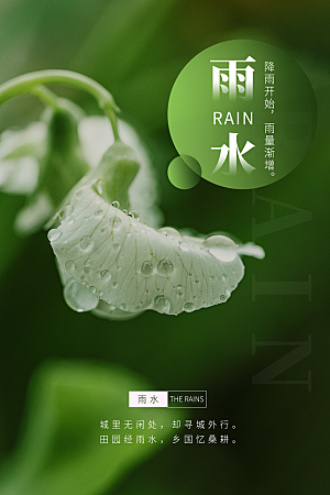 雨水谷雨节气24节气春天春季春日海报