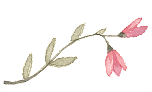 手绘水彩花朵设计素材