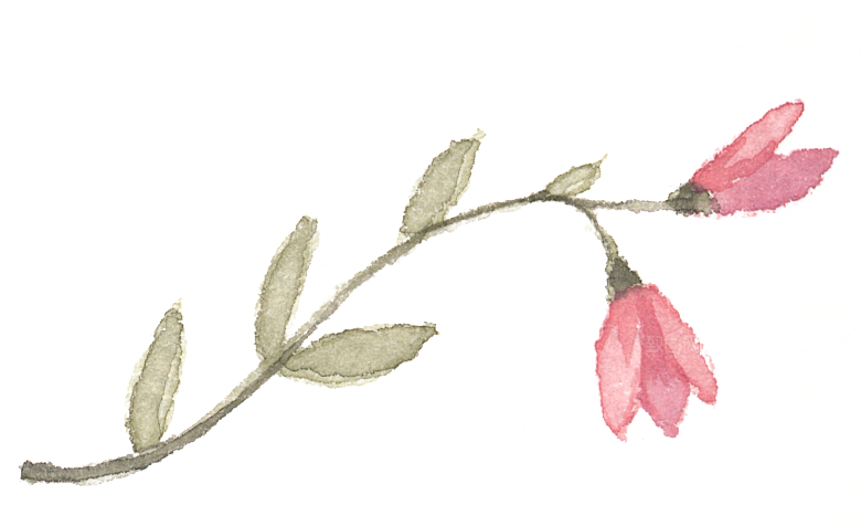手绘水彩花朵设计素材