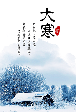 大寒冬天节气文化宣传海报