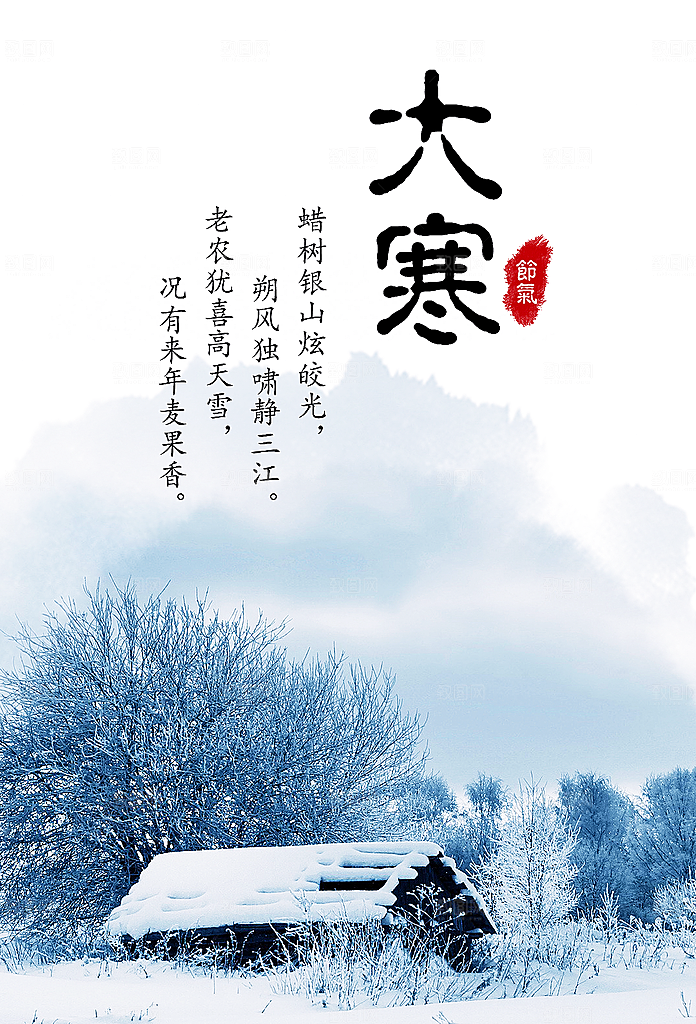 大寒冬天节气文化宣传海报