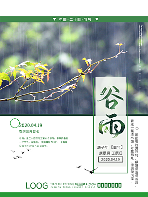 谷雨节气简约大气海报