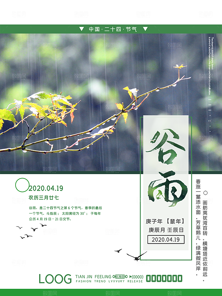 谷雨节气简约大气海报