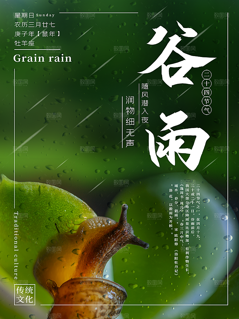 谷雨节气简约大气插画海报
