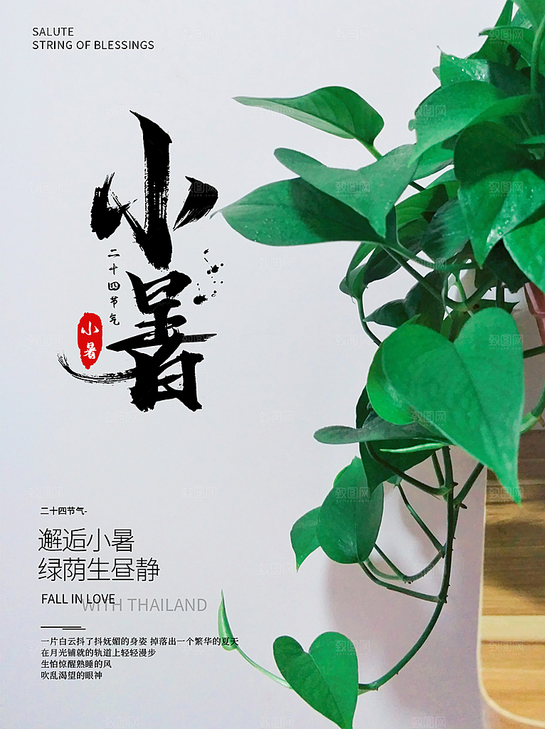 小暑节气简约大气插画海报