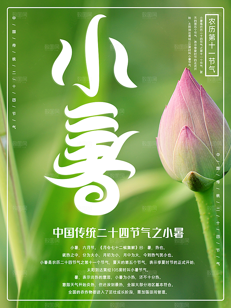 小暑节气简约大气插画海报
