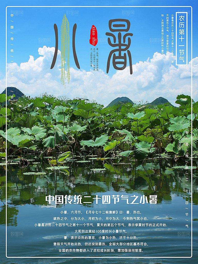 小暑节气简约大气插画海报