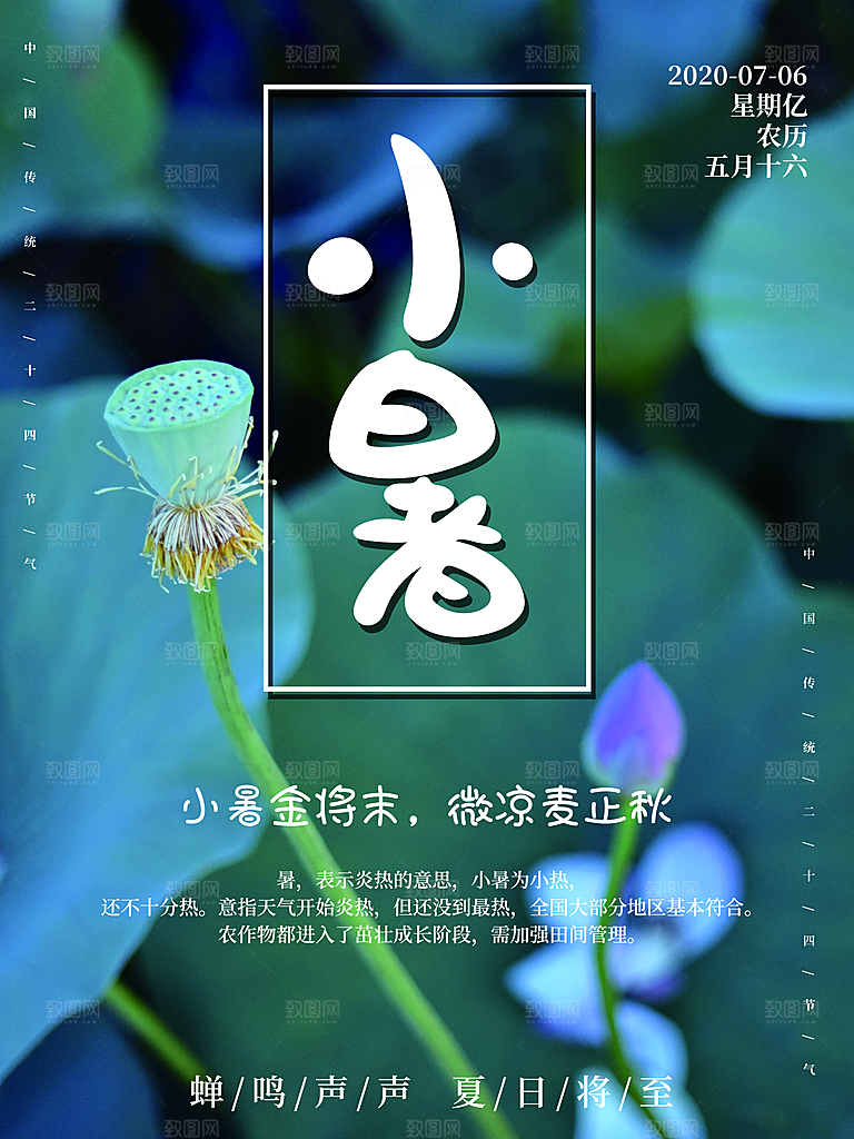 小暑节气简约大气插画海报
