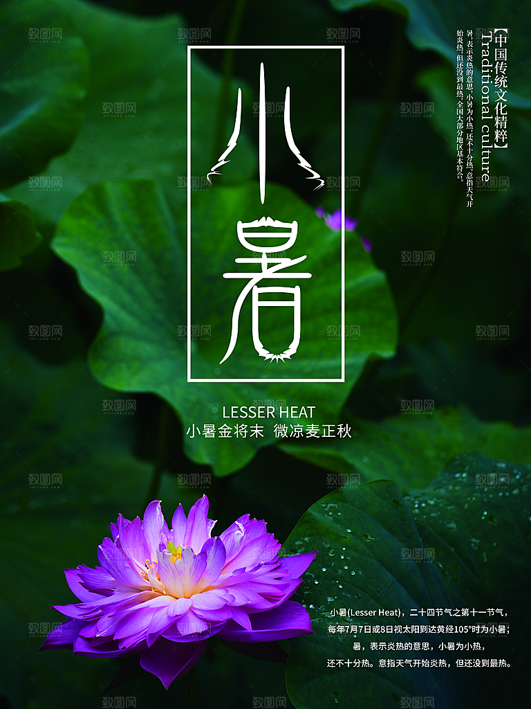 小暑节气简约大气插画海报