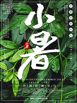 小暑节气简约大气插画海报