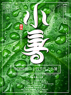 小暑节气简约大气插画海报