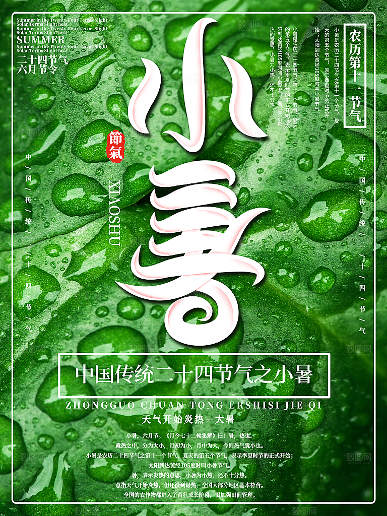 小暑节气简约大气插画海报