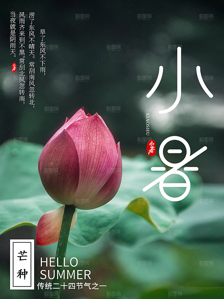 小暑节气简约大气插画海报
