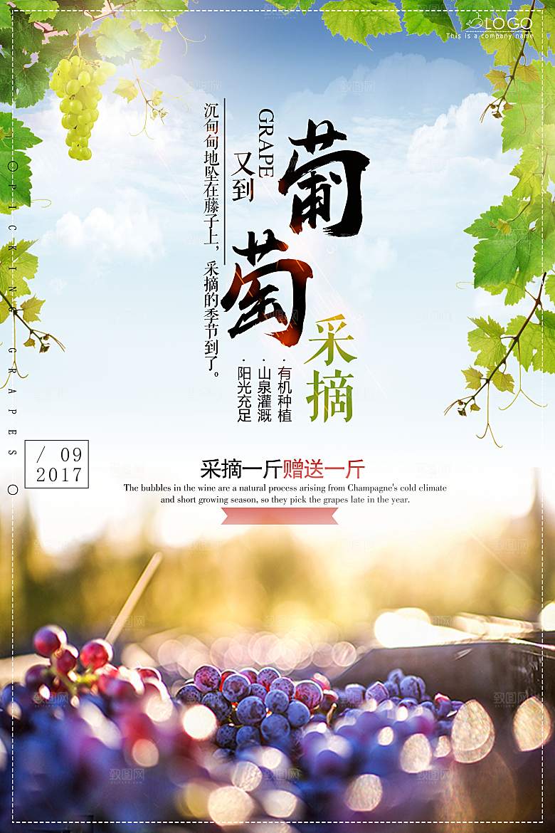水果海报宣传单psd