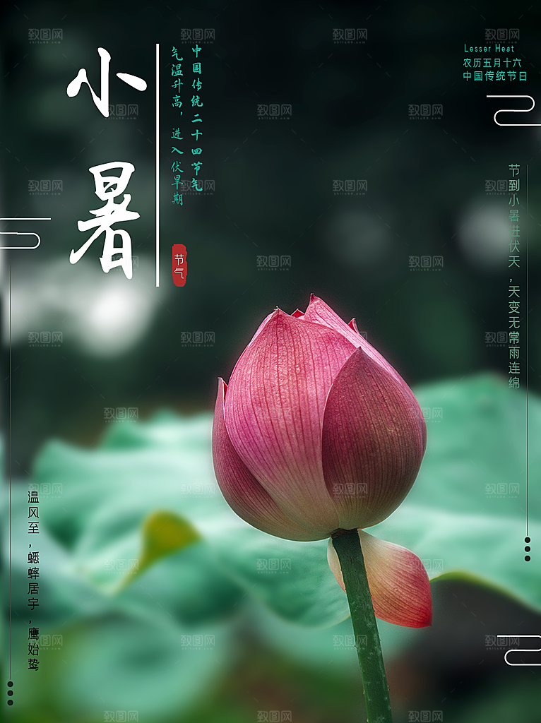 小暑节气简约大气插画海报
