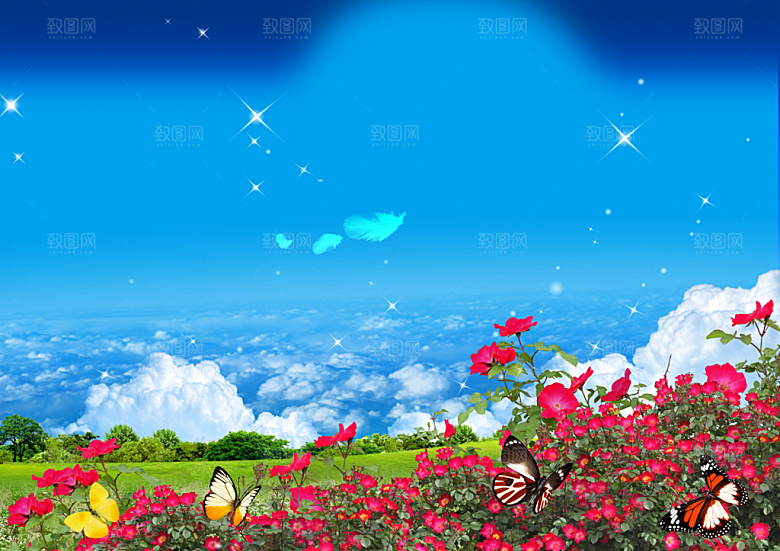 蓝色鲜花摄影画册背景图