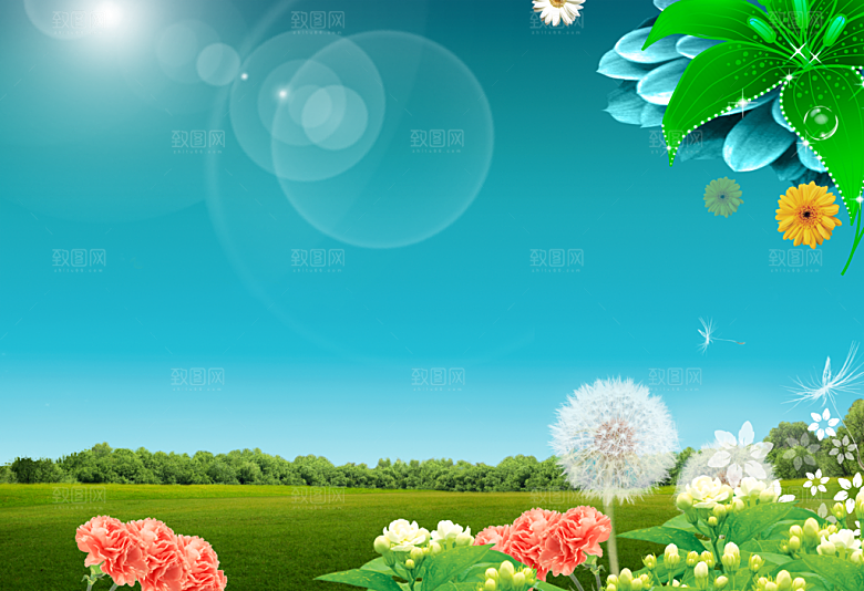 鲜花自然创意相册封面