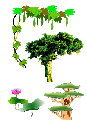 绿色植物树木手绘png素材
