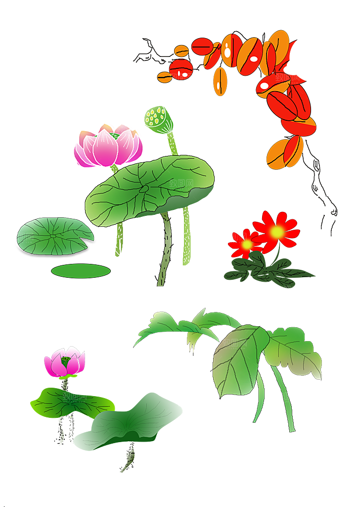 鲜花荷花手绘免扣元素