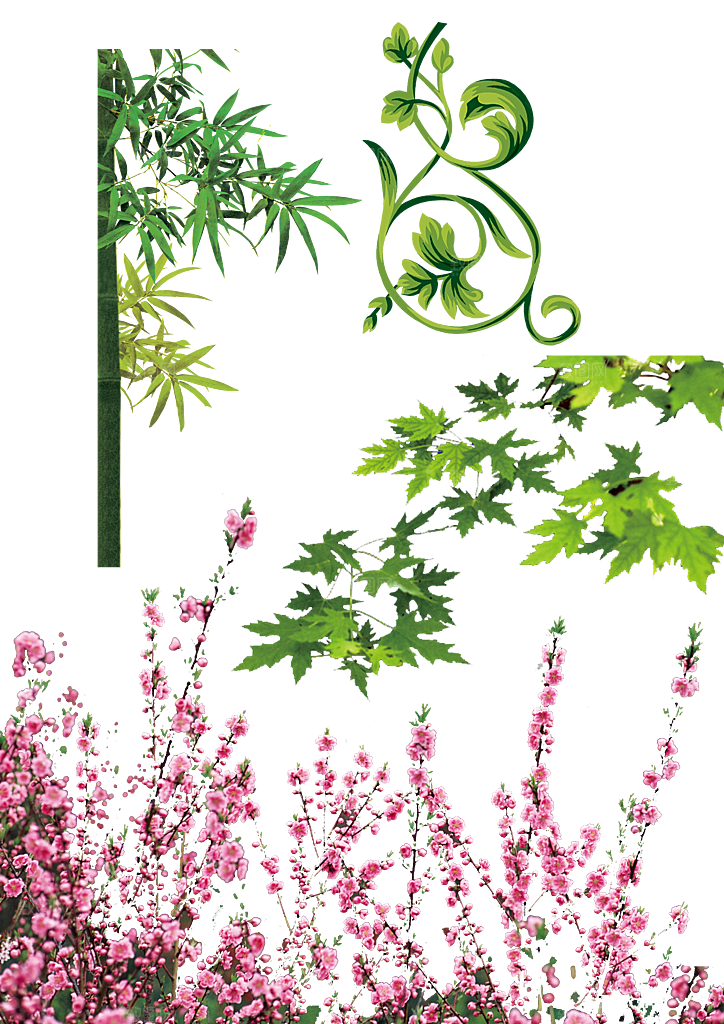 时鲜花花朵植物树木png素材