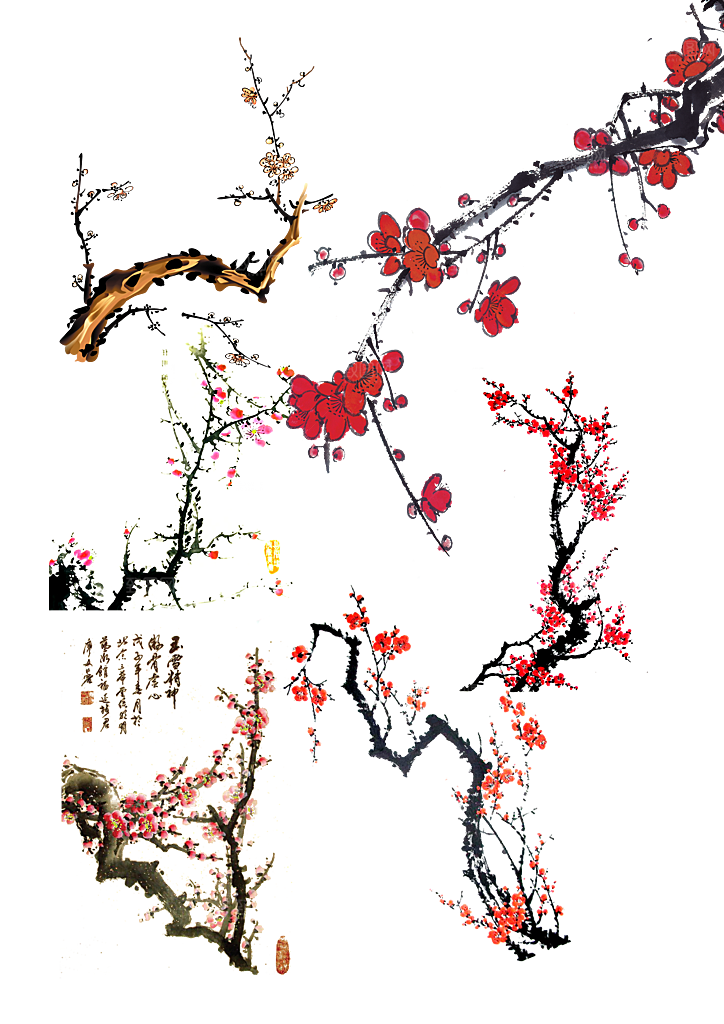 手绘菊花花朵花枝png素材