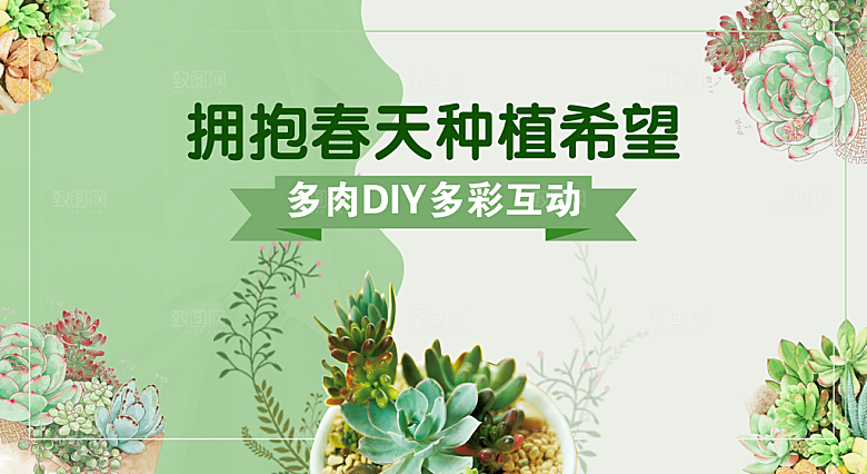 春天diy多肉植物种植插画活动展板