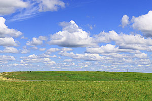 蓝色草原绿色天空