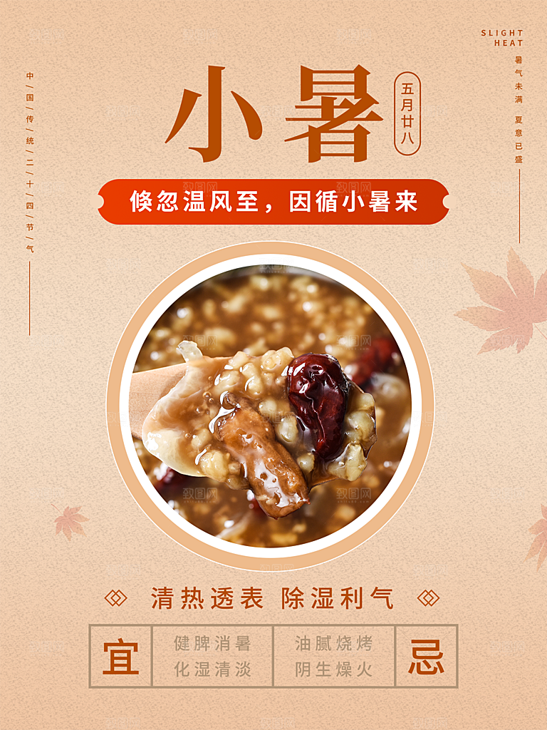 小暑节气简约大气插画海报