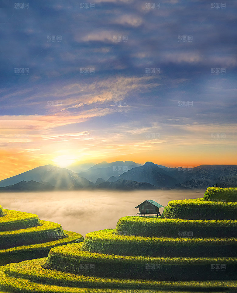 自然风景梯田希望