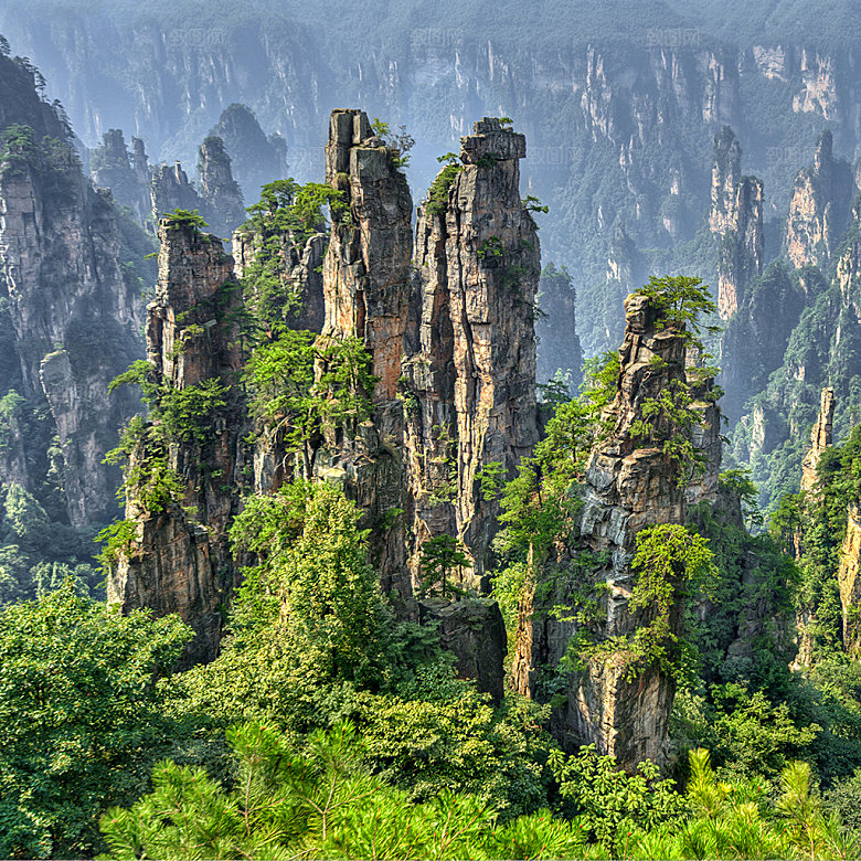 森林山峰自然风景